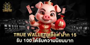 true-wallet-สล็อต-ฝาก-15-รับ-100-ได้รับความนิยมมาก