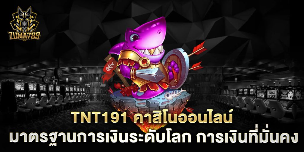 tnt191-คาสิโนออนไลน์-มาตรฐานการเงินระดับโลก-การเงินที่มั่นคง