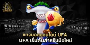 แทงบอลออนไลน์-ufa-เริ่มต้นสำหรับมือใหม่
